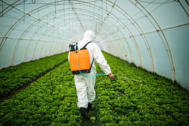 Best Pest Inspection Near Me  in Palm Springs, FL