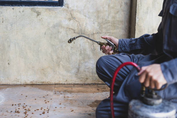 Best Wasp Removal Services  in Palm Springs, FL